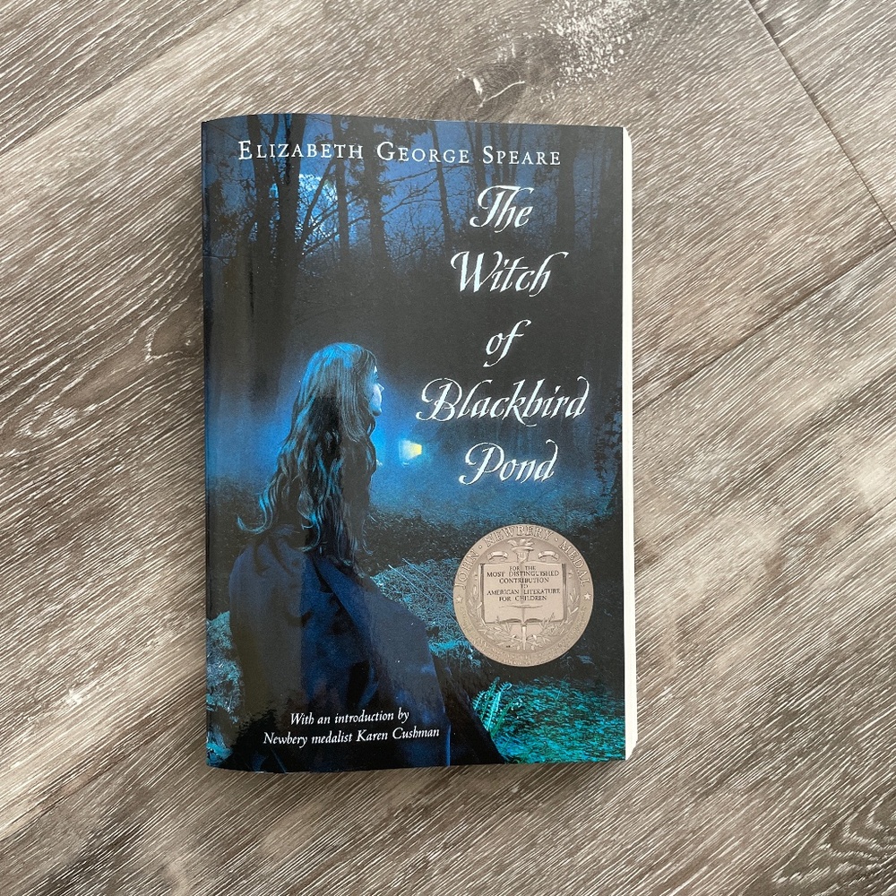 Brand New - The Witch of Blackbird Pond Book